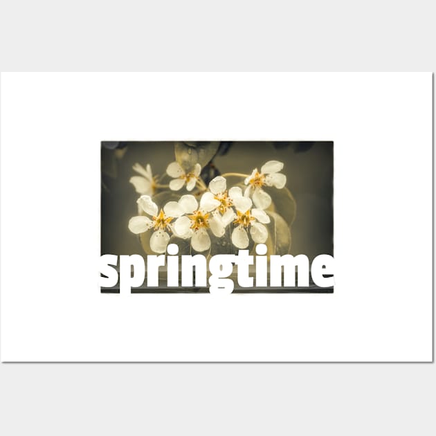 Springtime Wall Art by cinema4design